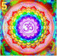 Load image into Gallery viewer, PRE-ORDER-Mandala Diamond Paintings- Collection 1