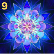 Load image into Gallery viewer, PRE-ORDER-Mandala Diamond Paintings- Collection 1