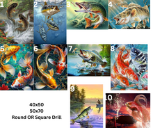 Load image into Gallery viewer, PRE-ORDER- Diamond Painting-Fish Designs