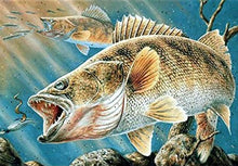 Load image into Gallery viewer, PRE-ORDER- Diamond Painting-Fish Designs
