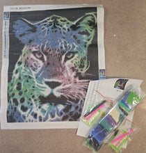 Load image into Gallery viewer, 40x50-Square Drill-Full Drill-Poured Glue-Diamond Painting-Glow Colourful Leopard