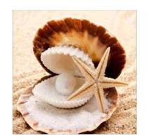 Load image into Gallery viewer, 25x25-Round Drill-Full Drill-Diamond Painting-968