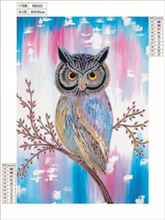 Load image into Gallery viewer, PRE-ORDER Partial- Diamond Paintings