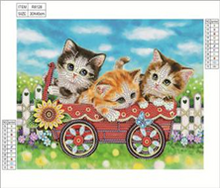 Load image into Gallery viewer, PRE-ORDER Partial- Diamond Paintings