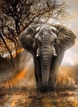 Load image into Gallery viewer, 50x70-Poured Glue-Diamond Painting-Elephant