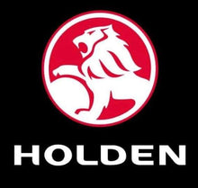 Load image into Gallery viewer, 30x30-Poured Glue-Full Drill-Diamond Painting-Holden