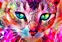 Load image into Gallery viewer, 40x50-Poured Glue-Diamond Painting-Colourful Cat