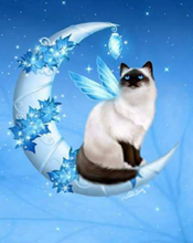 Load image into Gallery viewer, 30x40-Square Drill-Full Drill-Diamond Painting-350