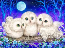 Load image into Gallery viewer, 30x40-Square Drill-Full Drill-Diamond Painting-609