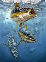 Load image into Gallery viewer, PRE-ORDER- Diamond Painting-Fish Designs
