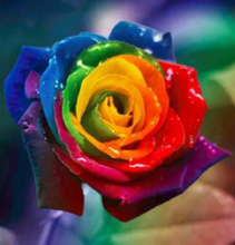 Load image into Gallery viewer, 30x30-Round Drill-Full Drill-Poured Glue-Diamond Painting-Colourful Rose
